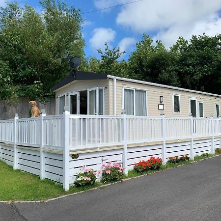 Mollys Retreat Pet Friendly Three Bed Caravan With Small Garden Newquay Bay Resort Quieter Area Of Park Extérieur photo