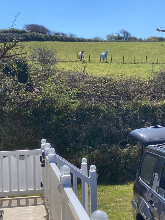 Mollys Retreat Pet Friendly Three Bed Caravan With Small Garden Newquay Bay Resort Quieter Area Of Park Extérieur photo